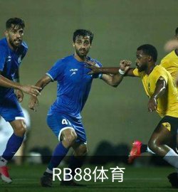 RB88体育案例